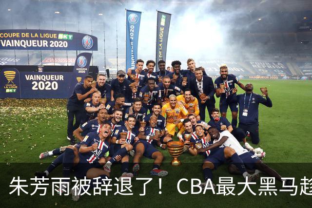 朱芳雨被辞退了！CBA最大黑马趁机打劫广东队，将强挖国手内线？